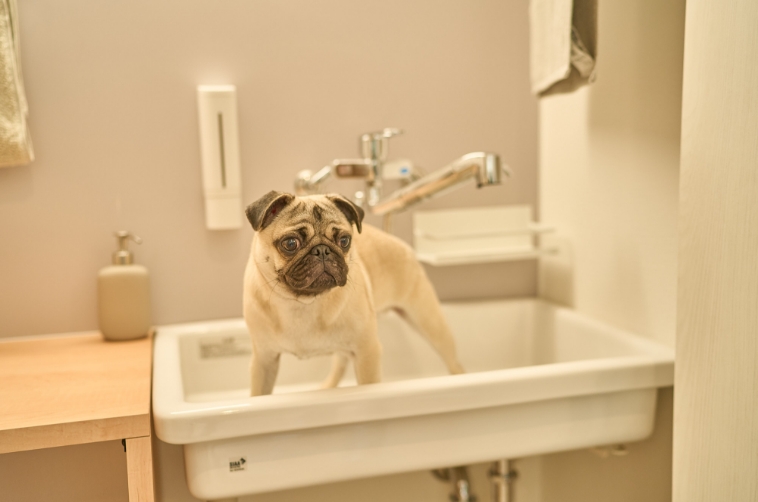 大阪市鶴見区緑2丁目